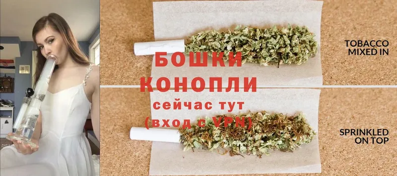 где купить наркотик  Каргат  блэк спрут зеркало  Шишки марихуана OG Kush 